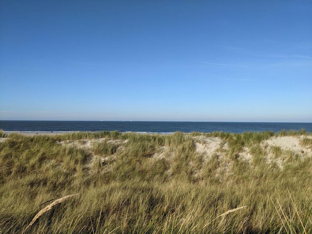 Sand dunes beach on Spiekeroog, Ostfriesland, North Sea, Germany