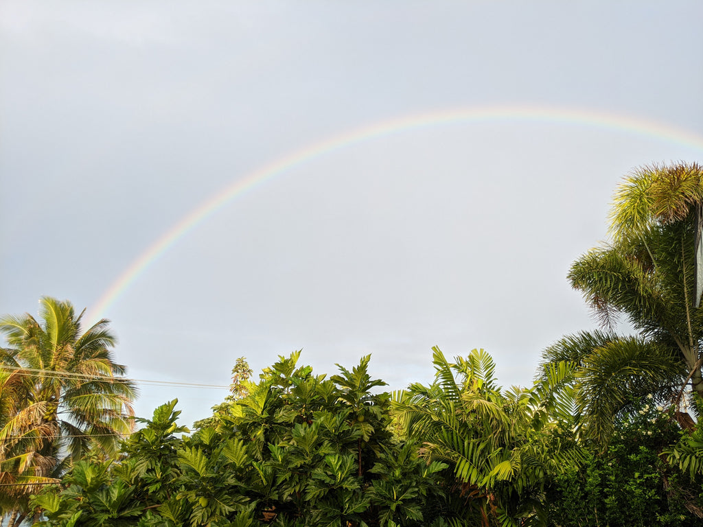 Rainbow in Kauai, Hawaii by Kevin Doran on the Science of Travel Blog