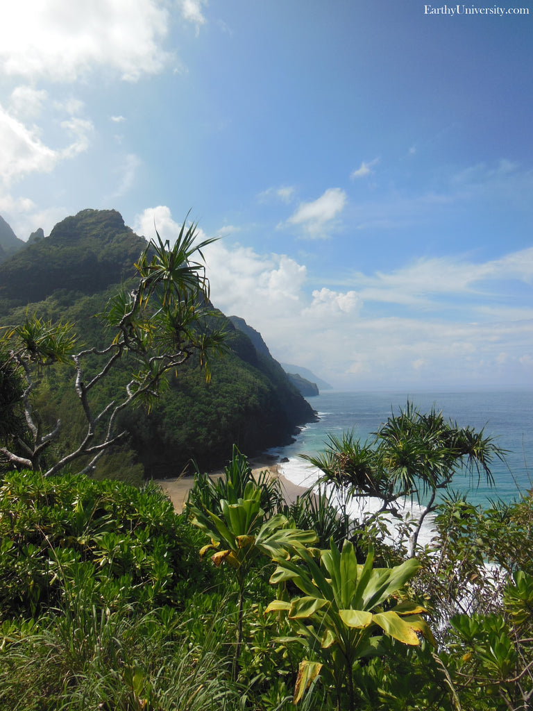 Na Pali Cliffs viewed from Kalalau Trail, Kauai, Hawaii, photograph by Daniela Dägele / EarthyUniversity