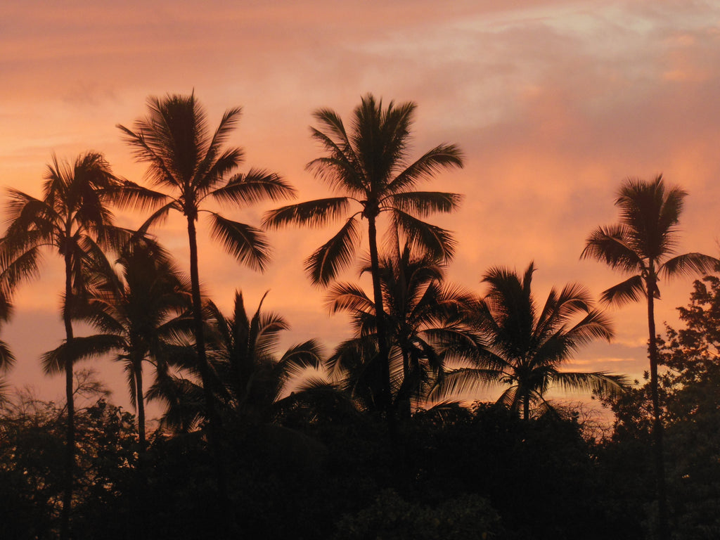 A Conversation With The Hawaii Local Shestin on the Science of Travel Podcast with Daniela Dägele