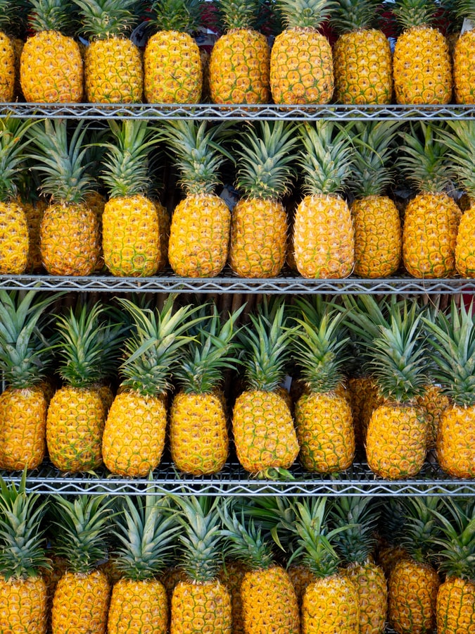Read on the Science of Travel Blog how Hawaiian life changed after the settlers arrived and find out why the pineapple is not truly Hawaiian