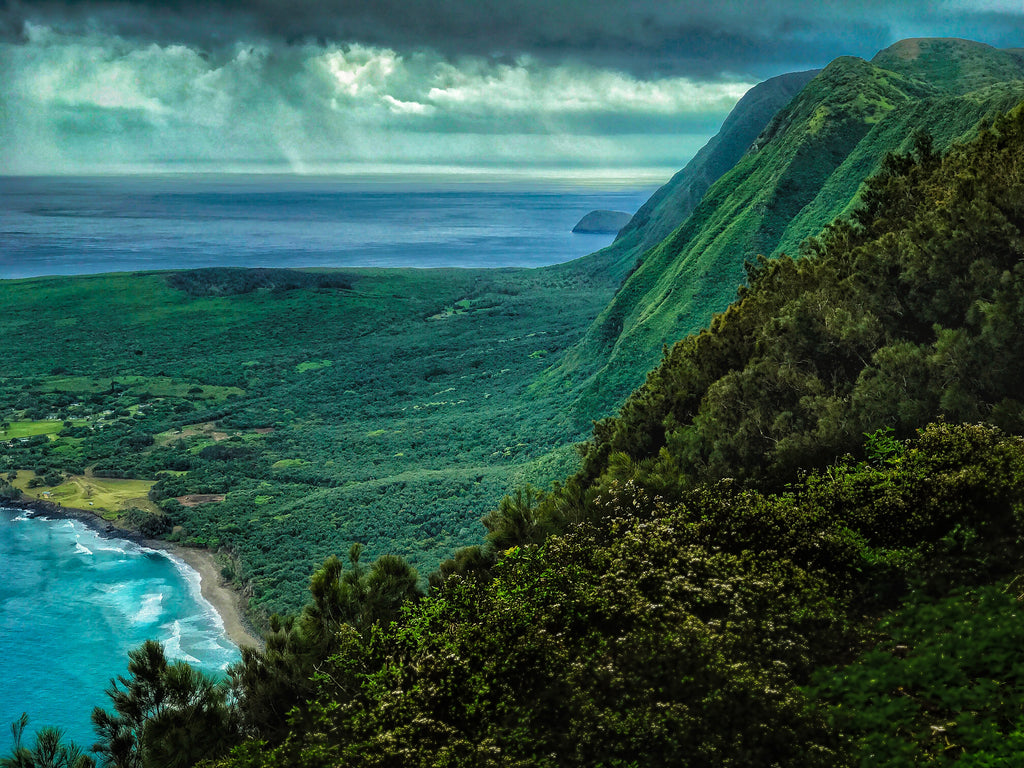 Credit: Kalaupapa and North Pali of Moloka'i, photo by Phillip Ziegler at Pixabay 
