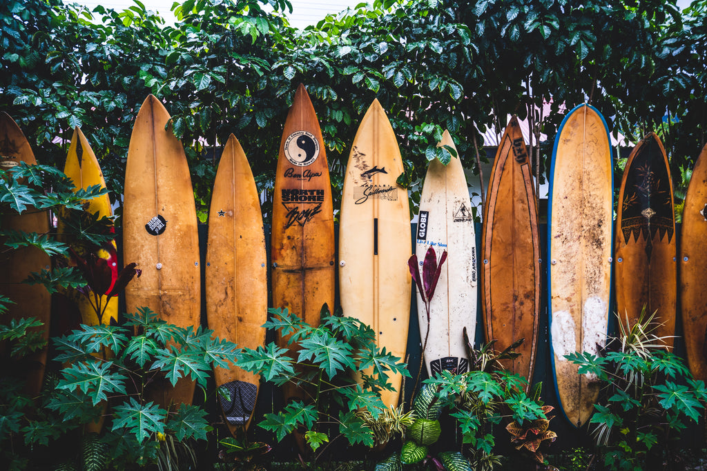 Image of a surfboard fence in Hanalei Bay, Kauai, Hawaii taken by tatonomusic via Unsplash and used on EarthyMe and EarthyUniversity